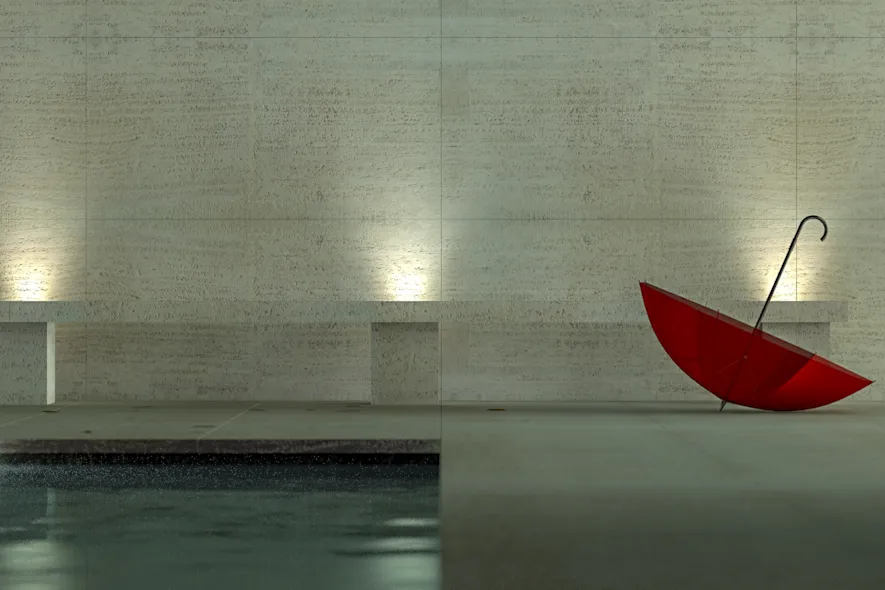Mies Van Der Rohe Pavilion I